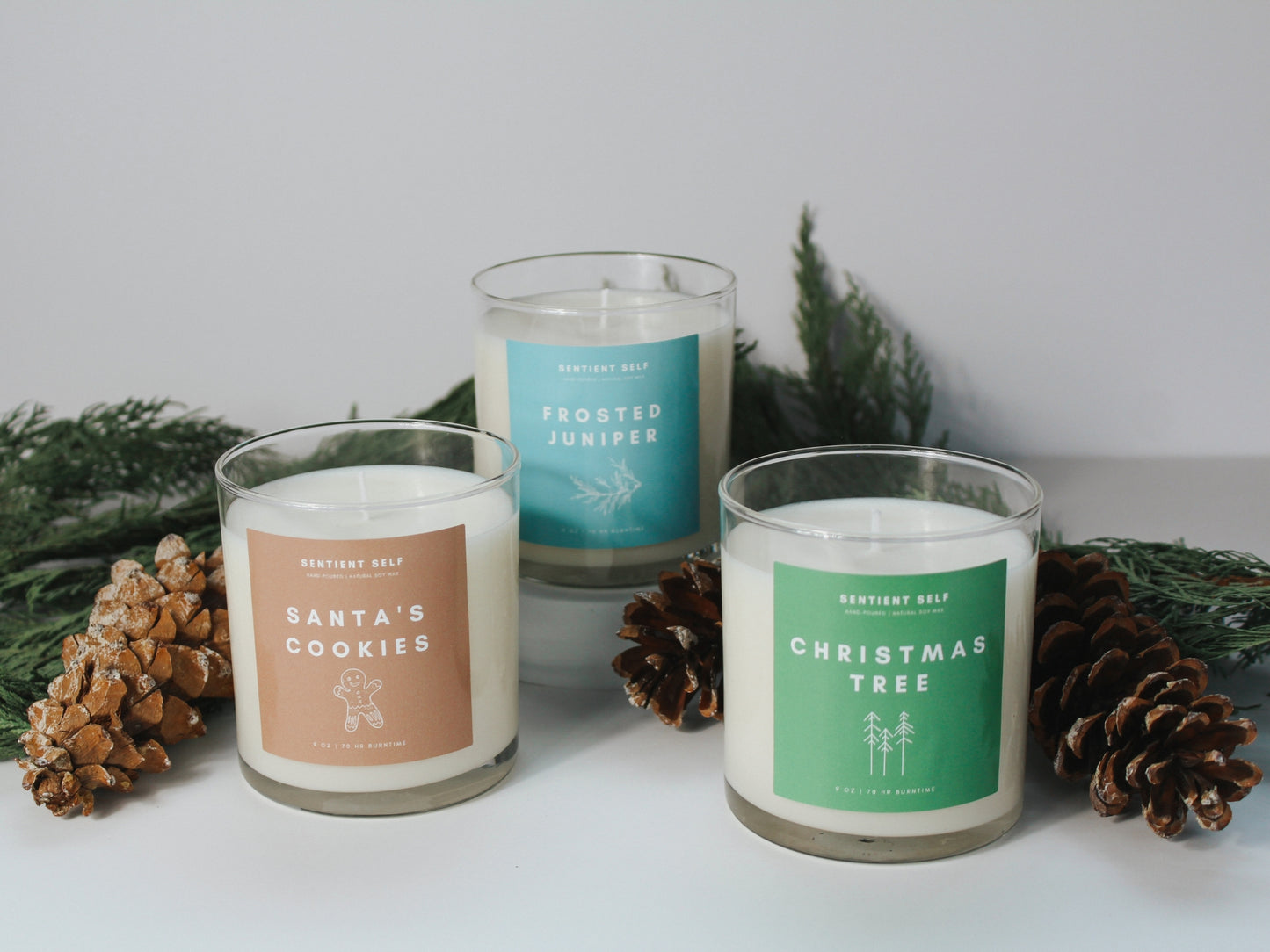 Frosted Juniper Winter Candle