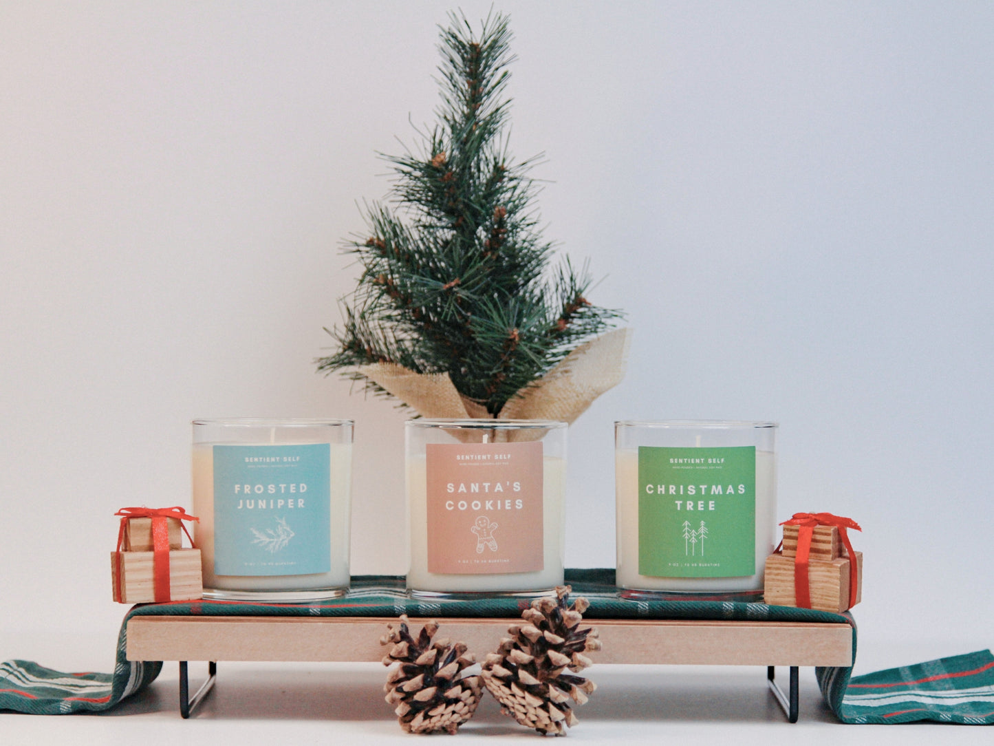 Frosted Juniper Winter Candle