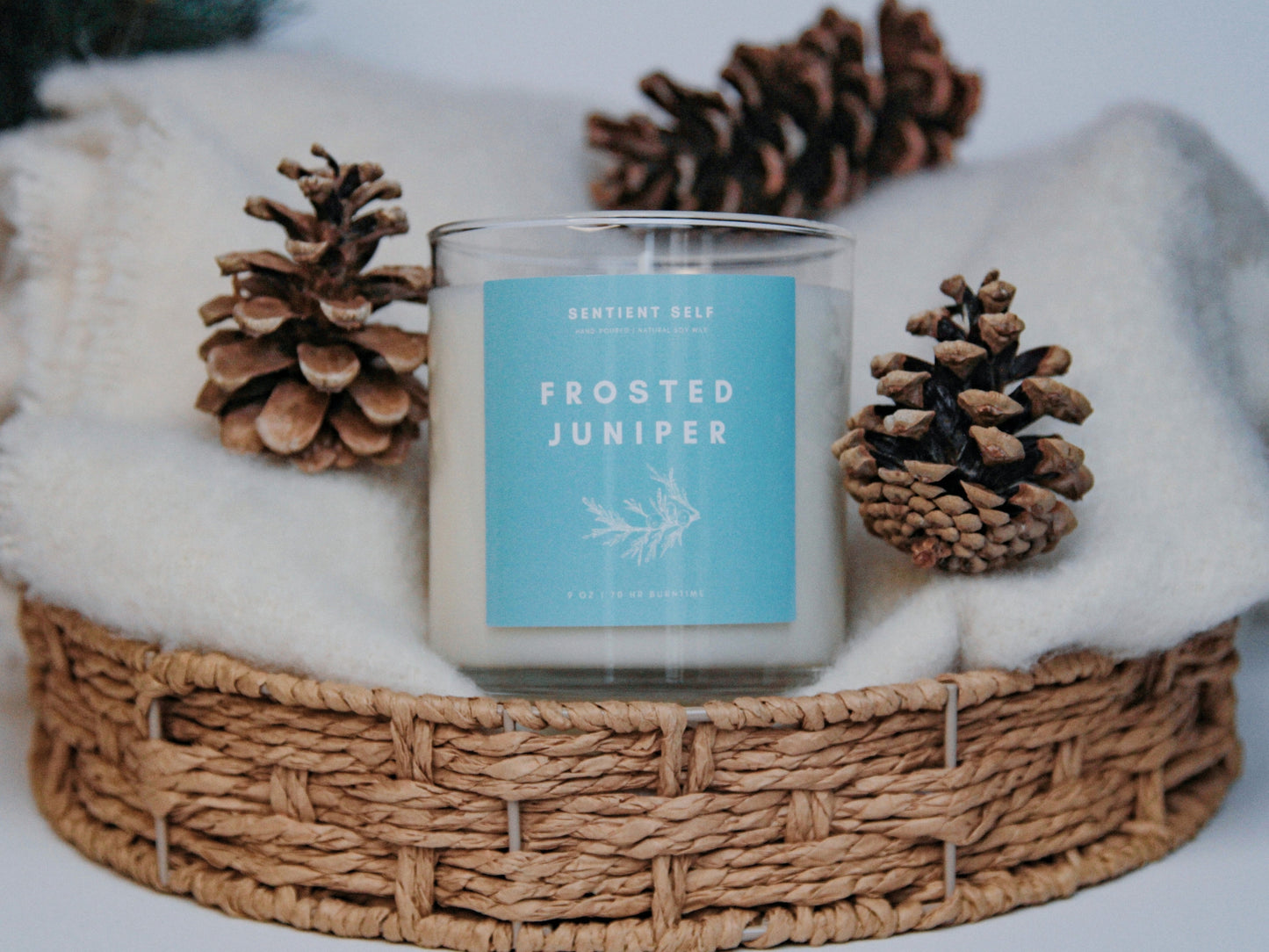 Frosted Juniper Winter Candle