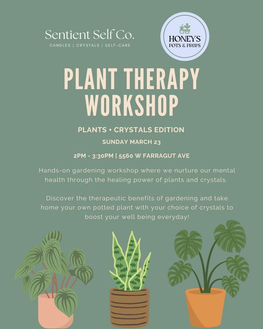 🌿 Plant Therapy Workshop | Plants + Crystals